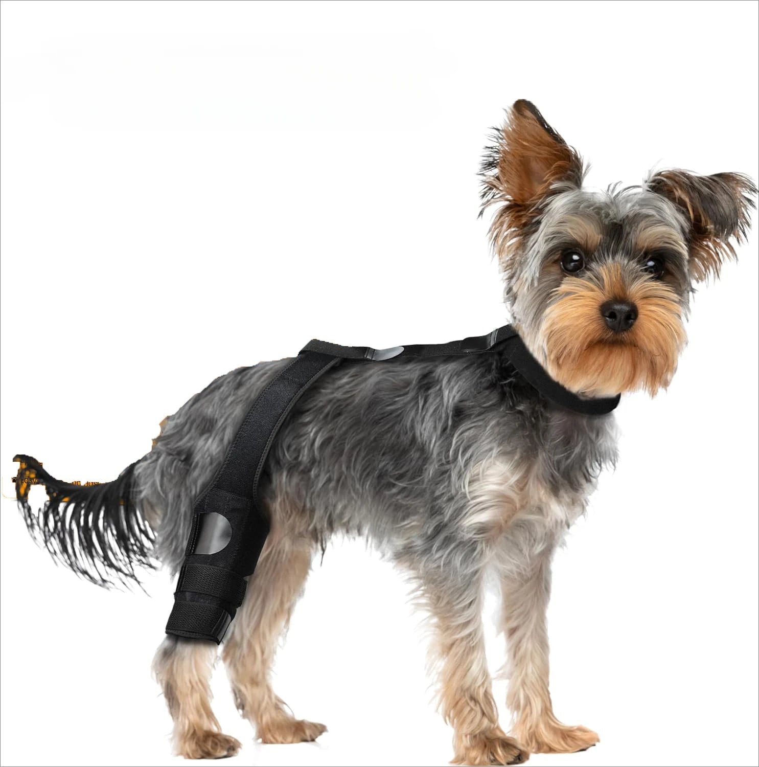 S5564b49adc7743029d08bb9f85ad04511