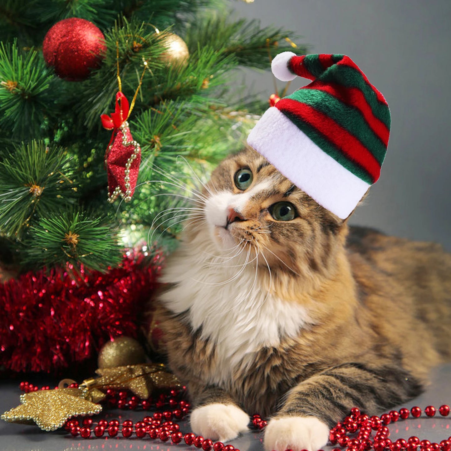 S810291090c3a41c59dc2a5a938eb51a5n